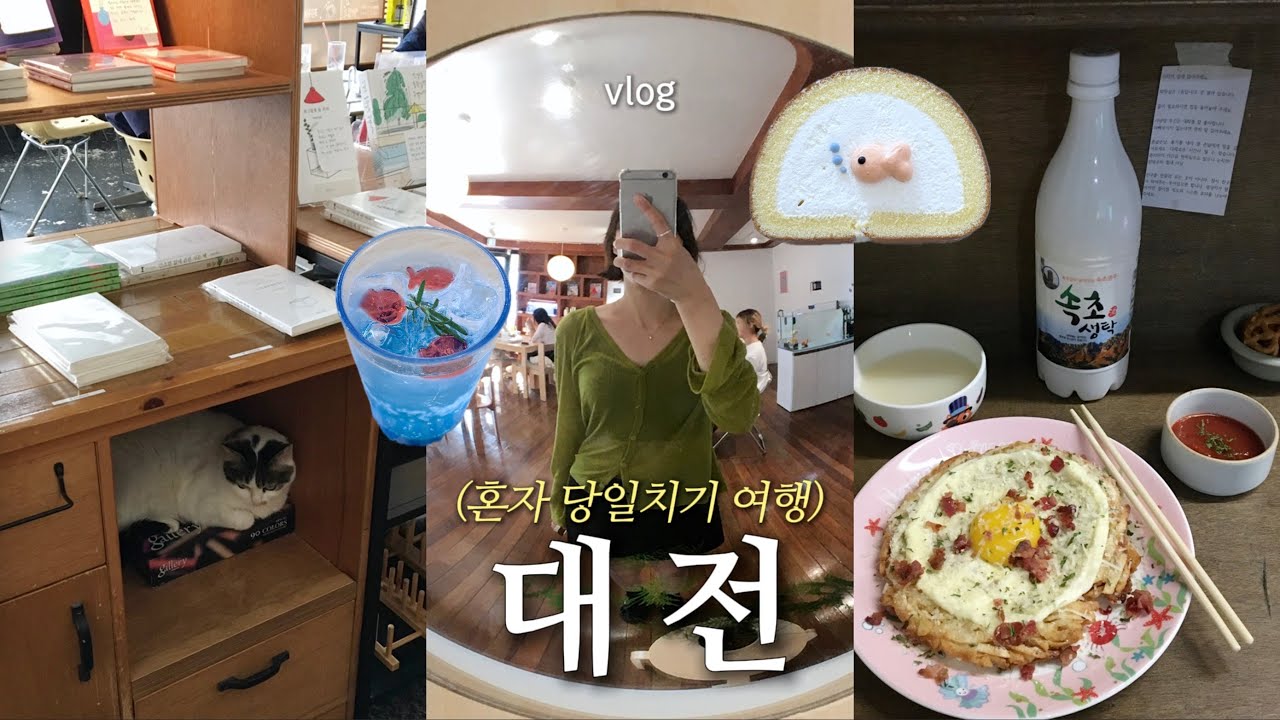 혼자 대전 𝚟𝚕𝚘𝚐 .*  대전여행은 당일치기하면 안 돼 ..🐈‍⬛🐟 첫 성심당 ・ 금붕어카페 ・ 고양이카페 ・ 존맛 감자전에 혼술🍶