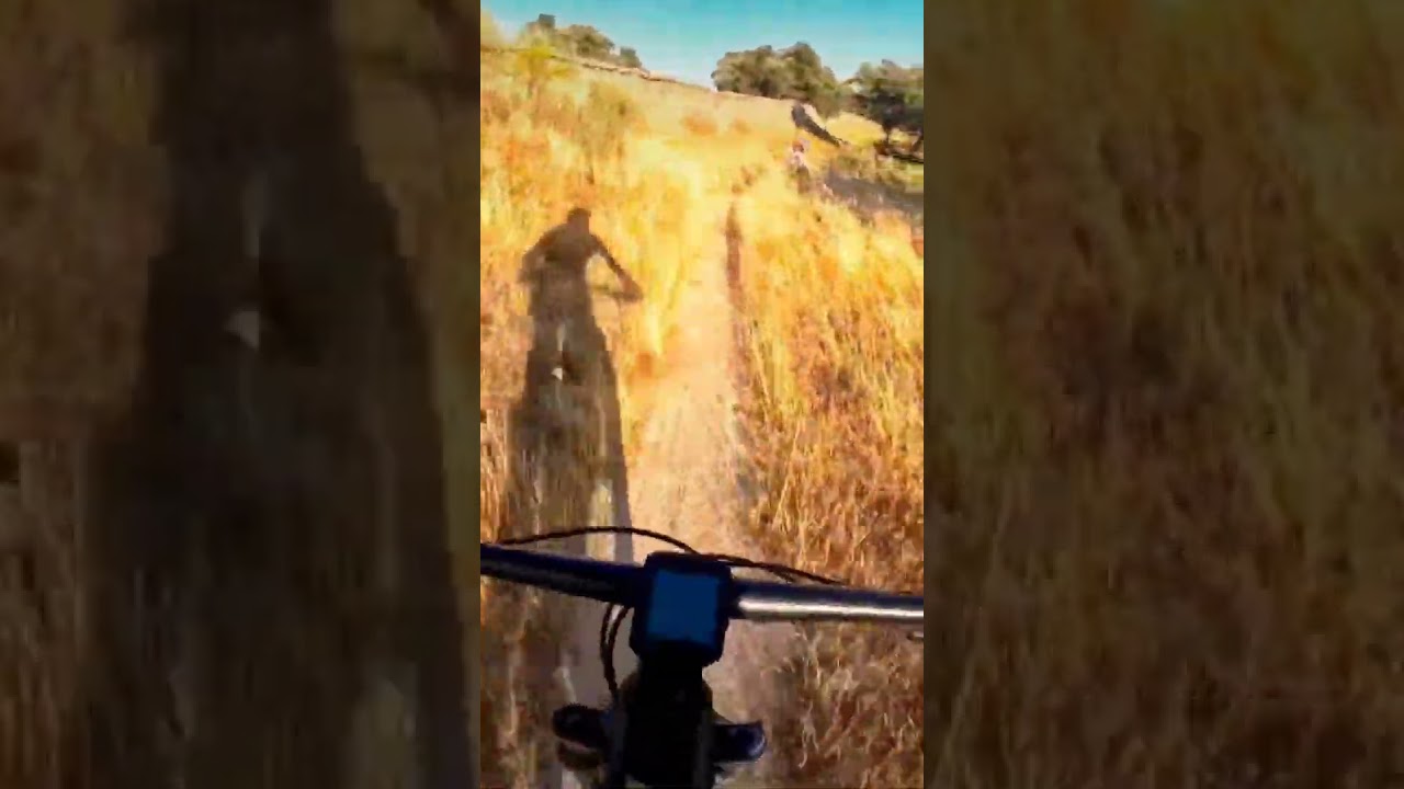 #mtbxc #mtbbike #bike #btt #bicycle #trotamontesmtb #mountainbike #mtb #mountainbiking #mtblife