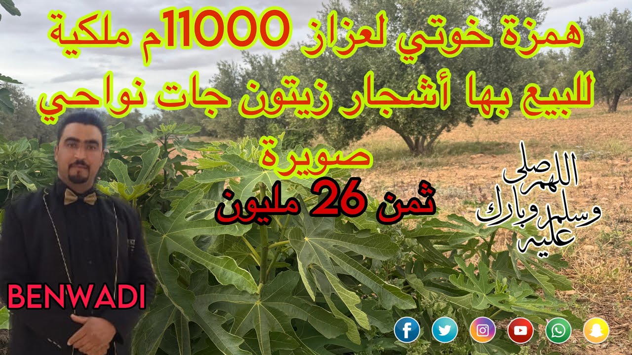 1هكتار او1000م  للبيع نواحي الصويرة طريق مراكش ملكية للمهتم اتواصل معيا بهاد رقم 0600261334