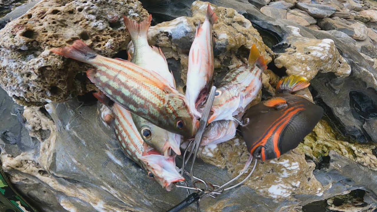 UL Ep36 Bumawi sa bagong spot | Ultralight Fishing | Shore Casting Philippines