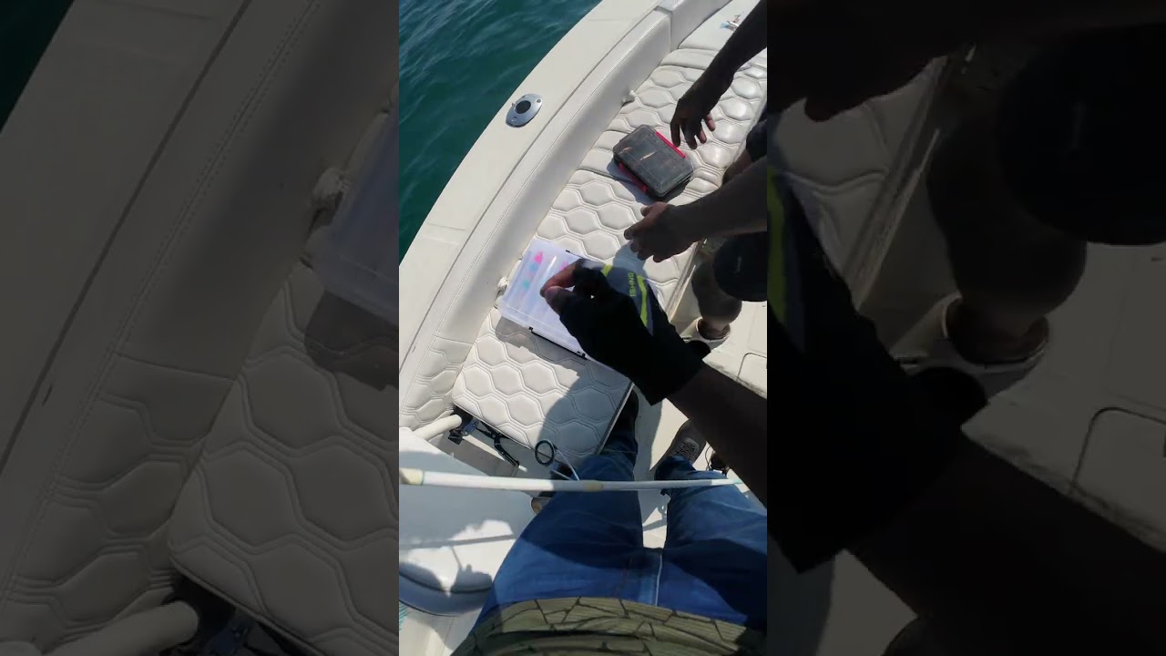 Kingfish Smash on DUO Realis Jerkbait 110