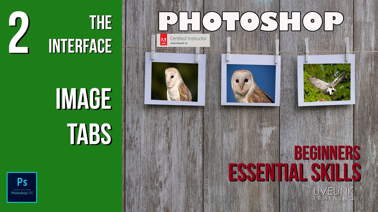 Tabbed Interface: Beginners Essential Skills