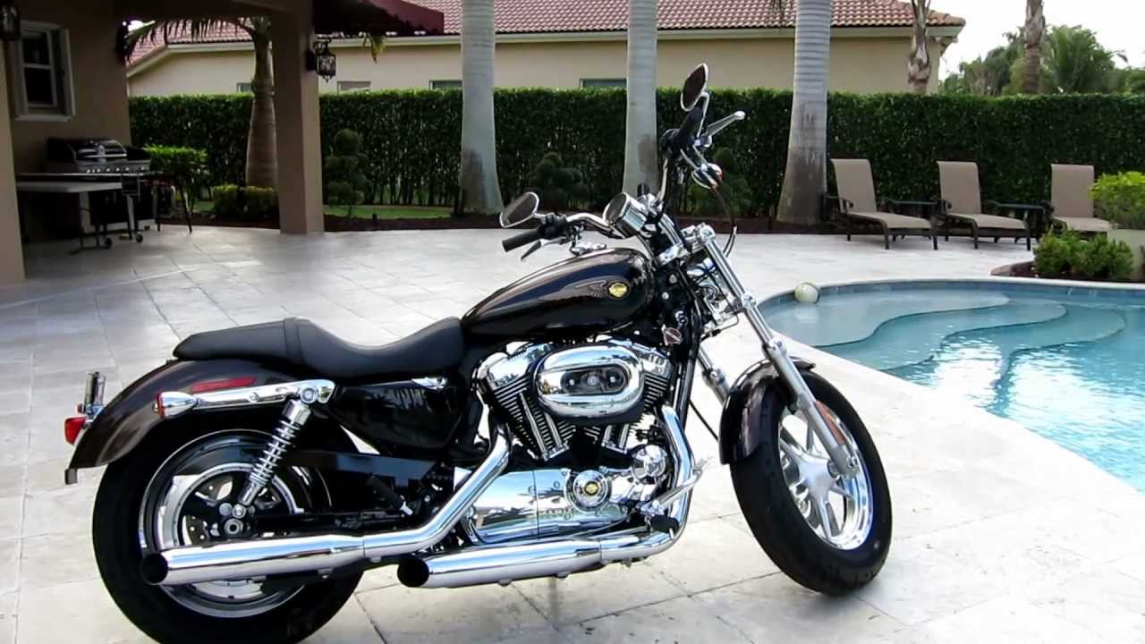 2013 Harley Davidson XL 1200 Sportster Custom by Advanced Detailing of South Florida