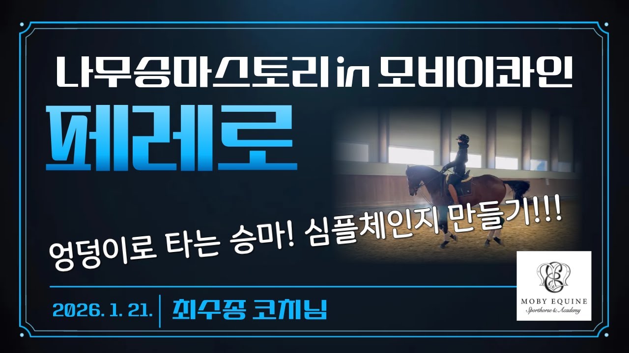 [나무승마] 모비이콰인 | 최수종코치 | 페레로 | 기본운동 | 심플체인지만들기 | 수축운동 | 씨팅교정 | 엉덩이로타는승마 | 승마브이로그 | 취미승마