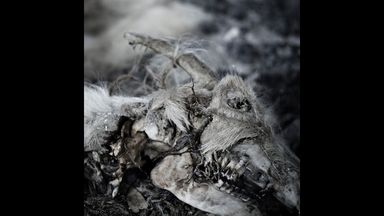 Aphonic Threnody - The Ghost's Song