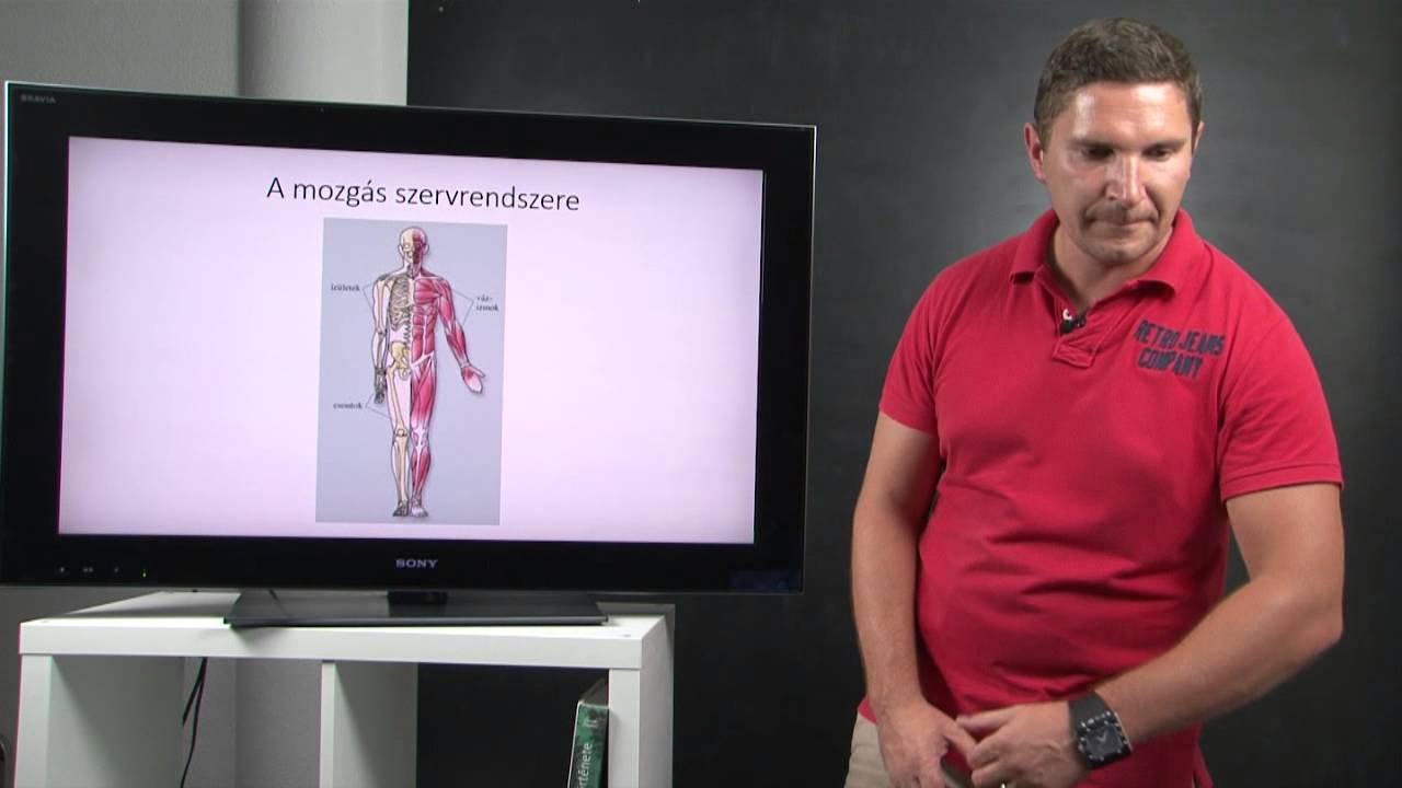 A kültakaró és a mozgási szervrendszer megbetegedései