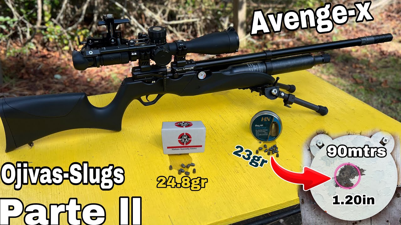 AVENGE-X .22 & Ojivas-Slugs Segunda Parte H&N Y NSA(H&N Excelente👊 #pcpairrifle