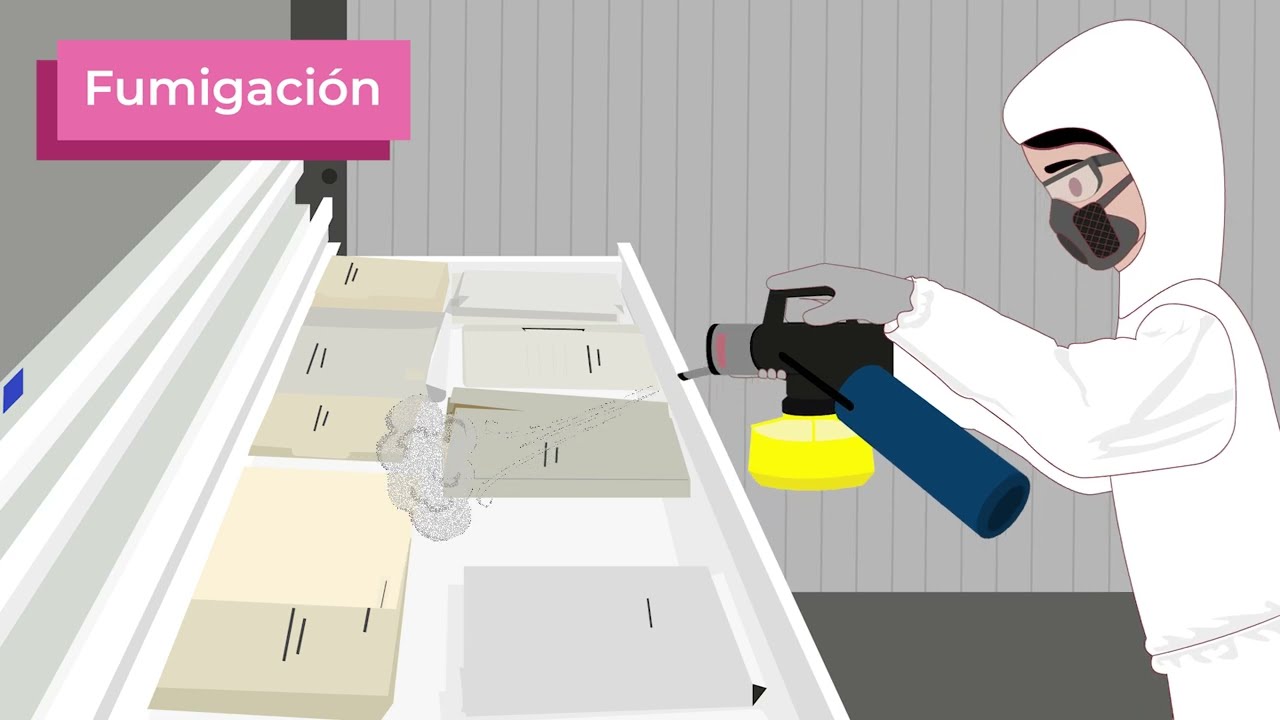 Medidas m&iacute;nimas de conservaci&oacute;n en preparaci&oacute;n del correcto traslado de documentos hist&oacute;ricos.