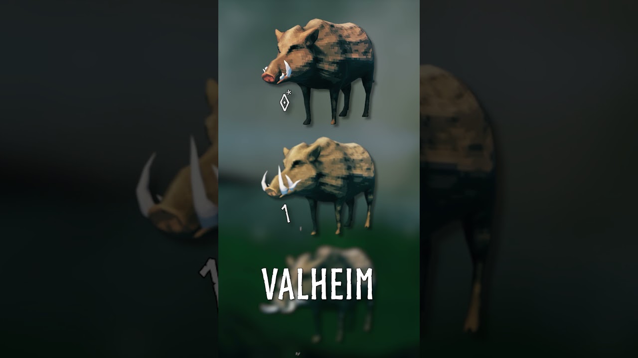 Valheim's Boars RARE trait! #gaming #valheim #survivalgame #guide #irongate #secret #facts