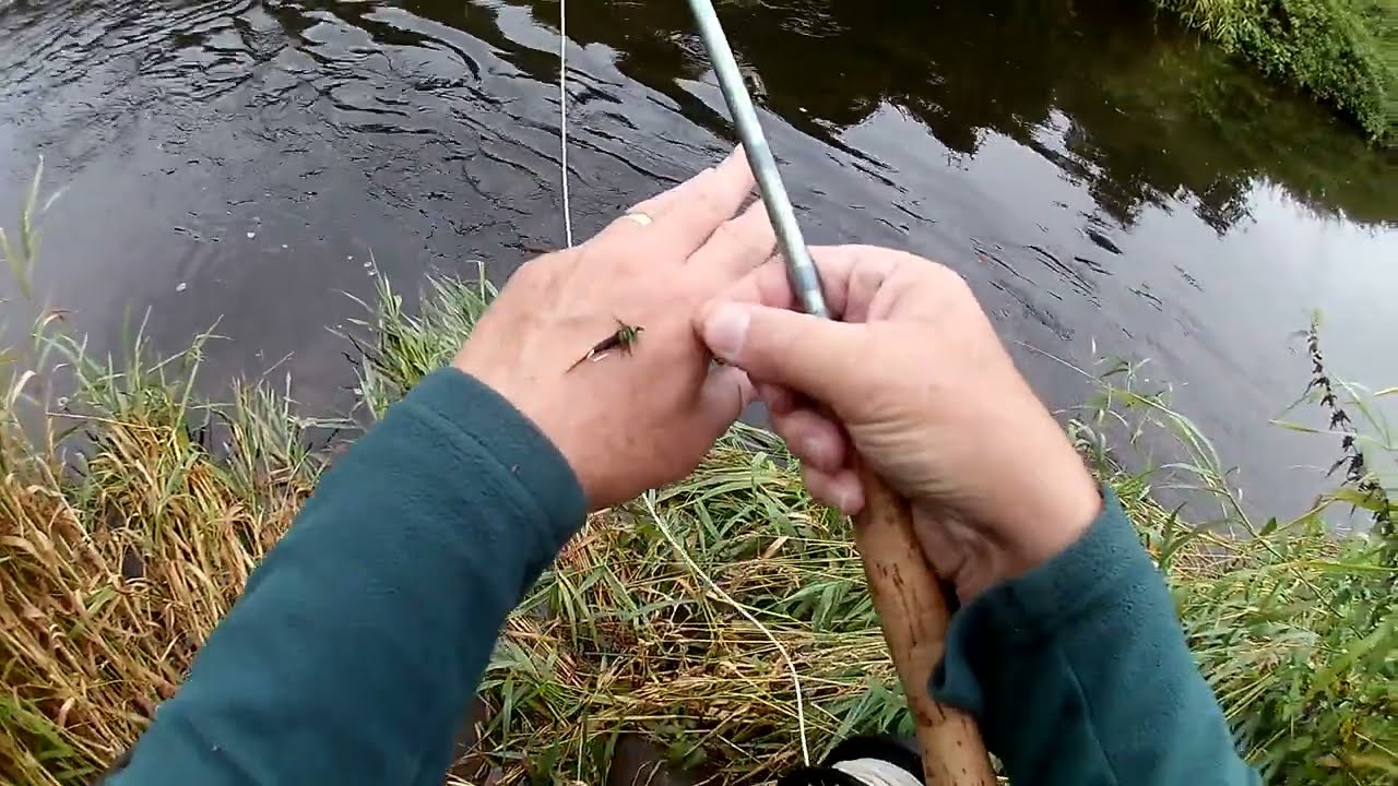 Dollaghan fishing, a brief encounter @ 1.10 mins and a big one in the air @ 1.57 mins.