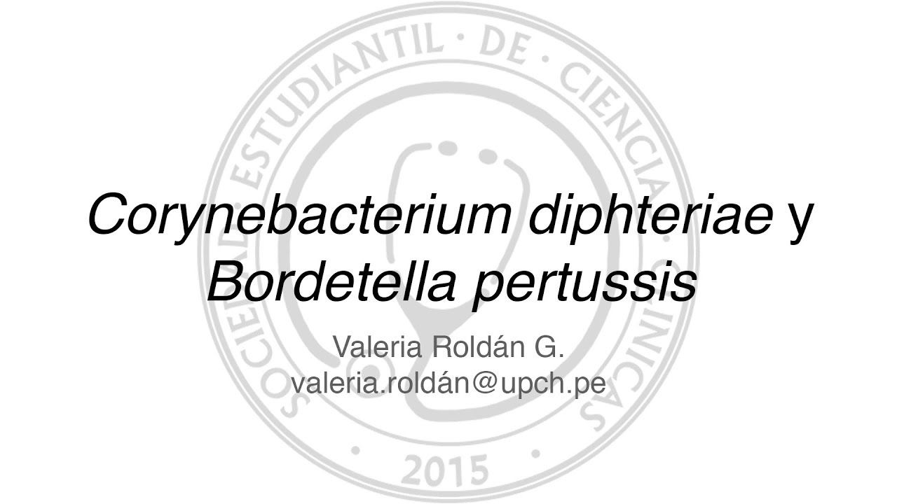 Corynebacterium diphteriae y Bordetella pertussis: Enfermedades Bacterianas por Toxinas