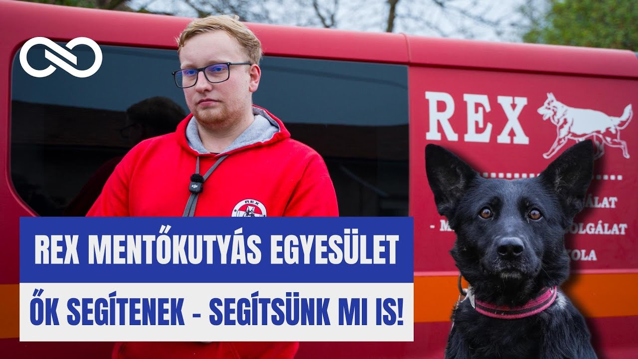 REX Mentőkutyás Egyesület - bármikor segítenek, segítsünk mi is!