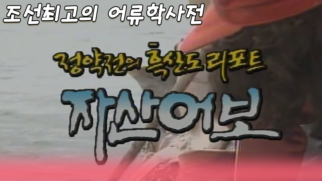 정약전의 흑산도리포트 [역사실험] KBS 1996.09.20 방송