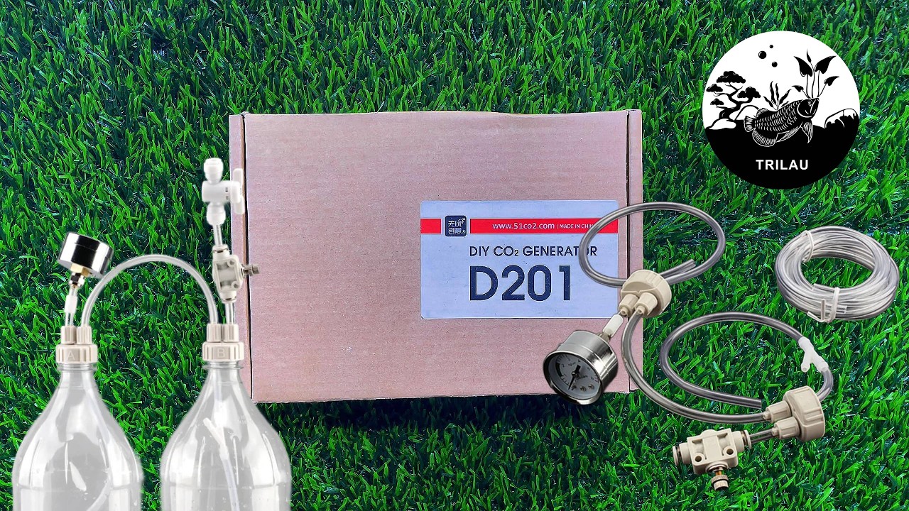 DIY CO2 for aquarium | 51CO2 | TRILAU #diy