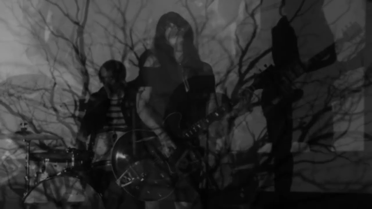 Fever Dream by Spirit Hotel