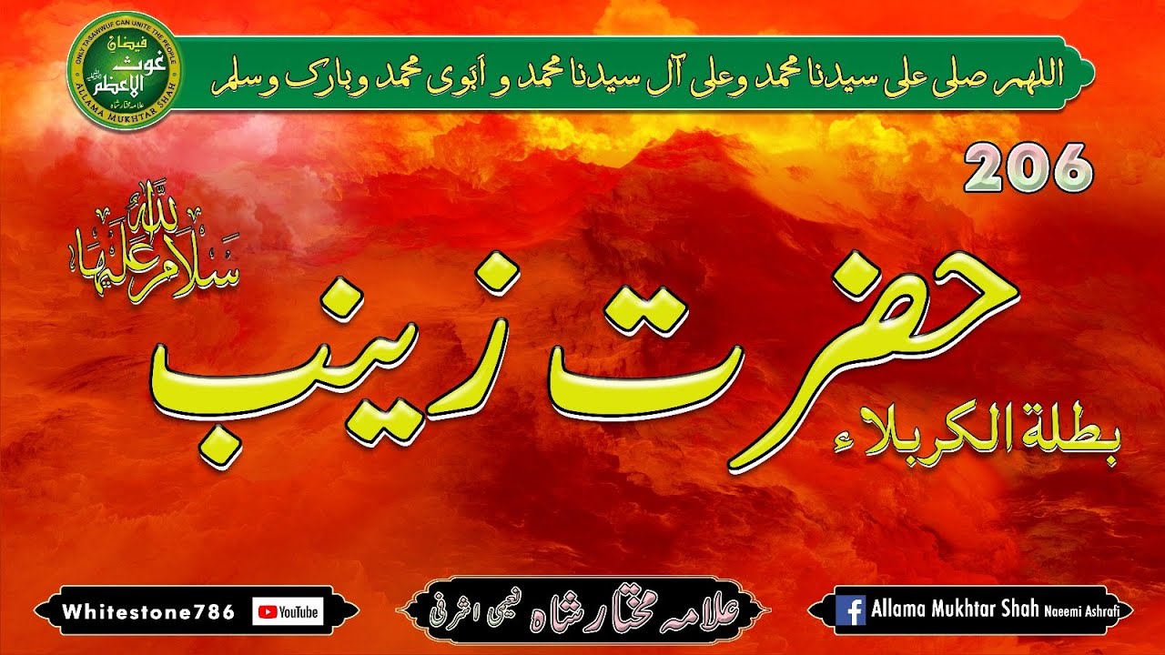 (206) Hazrat Zainab binte Ali radiAllah Anha بى بى زينب كى خطبات