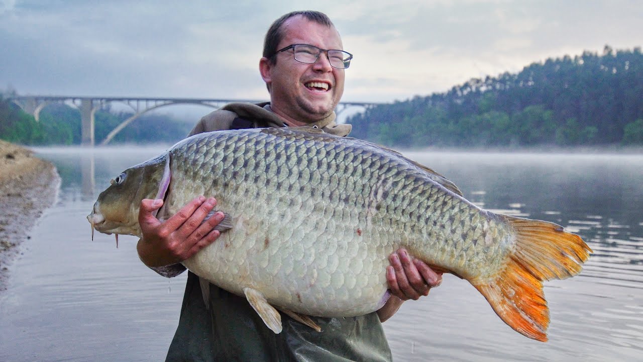 REKORDN&Iacute; KAPR! Monster European Carp! V&yacute;prava za kapř&iacute;m snem.