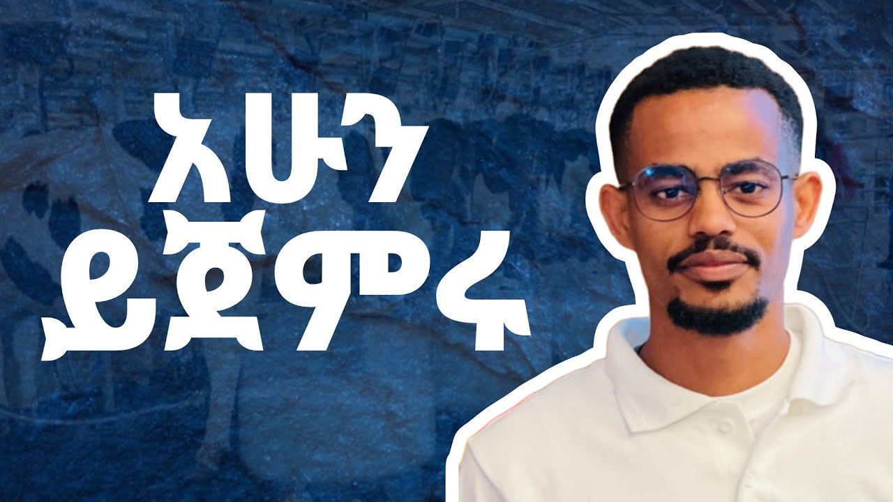 የወተት ላሞች እርባታ 8 መሠረታዊ ነጥቦች