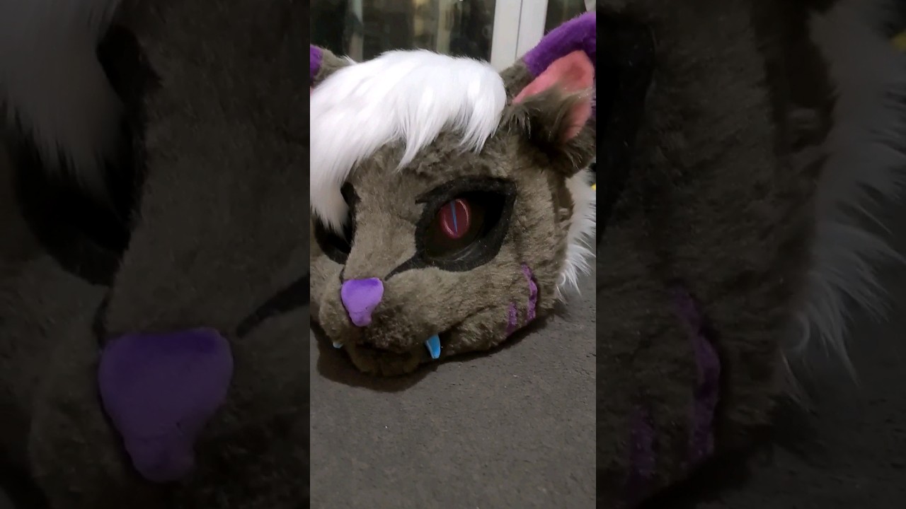 Fursuit head speed build!