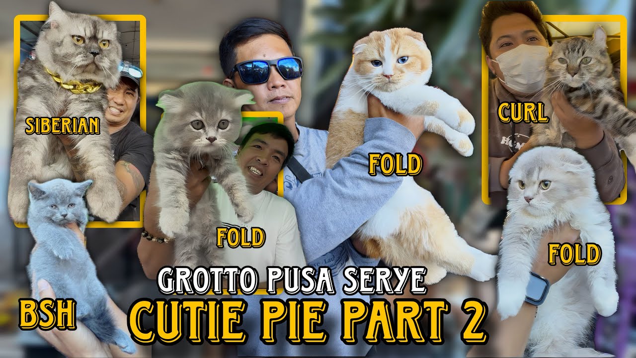 MARAMI MGA RARE NGAYON SA GROTTO PET MARKET/ MARCH 1 2026/ GROTTO PUSA SERYE/ PUSA UPDATE