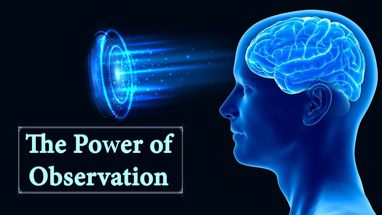 The Power of Observation | How to Improve Your Observation ?