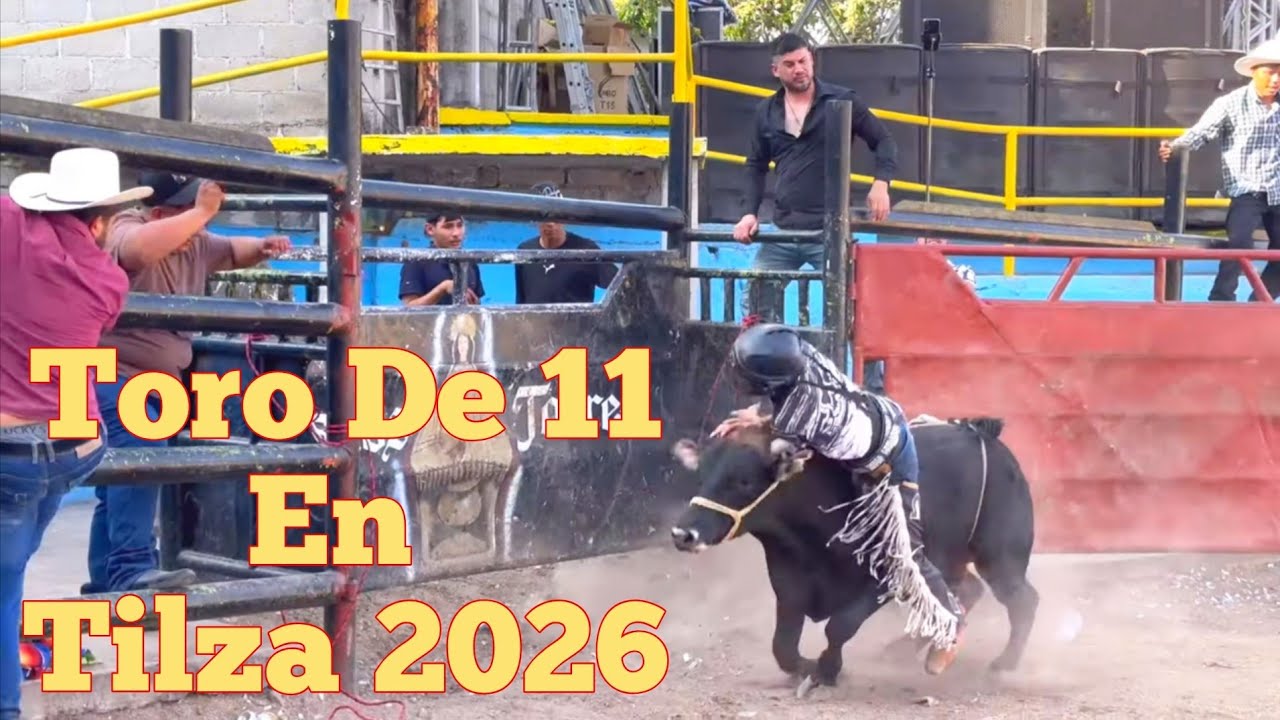 Carnaval Tilzapotla 2026 Día 6// Toro de 11 Y Uno Para los Compás De Acaballo. #vázquez 