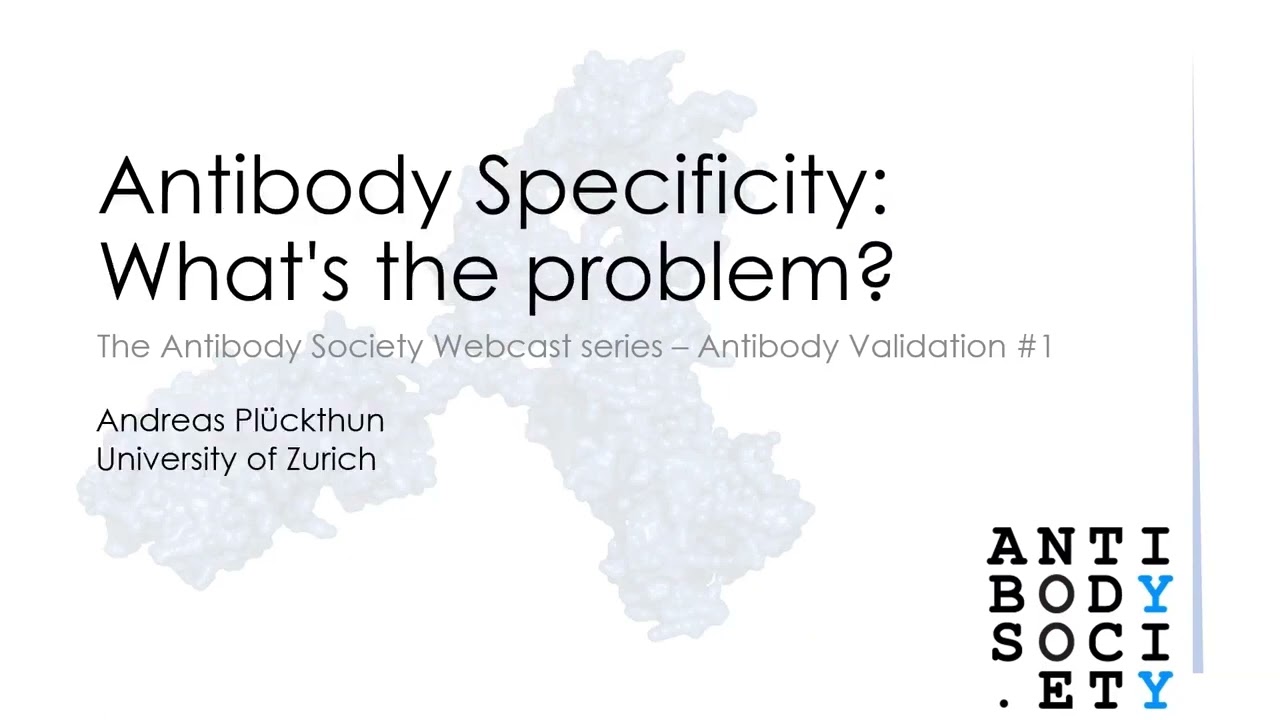 Antibody Validation 01: Antibody Specificity: What's the problem?
