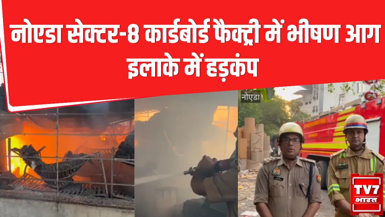 Noida Fire News: Noida Sector-8 कार्डबोर्ड फैक्ट्री में भीषण आग | इलाके में हड़कंप |