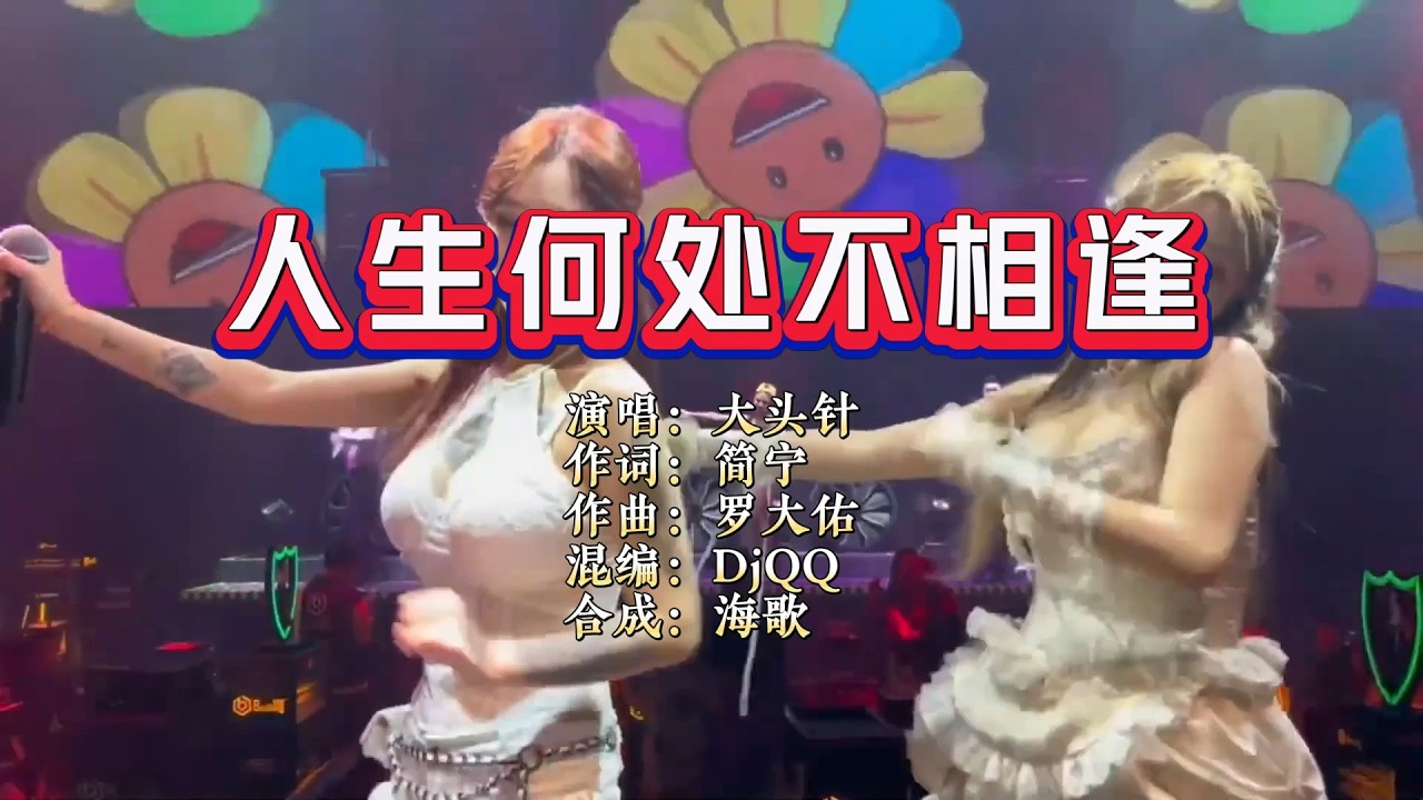 大头针《人生何处不相逢》DjQQ LakHouse Rmx KTV 导唱字幕 （备有伴奏视频）