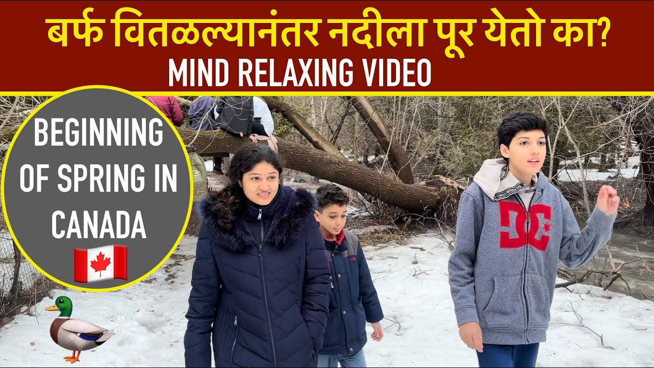 बर्फ वितळल्यानंतर नदीला पूर येतो का? #Mind Relaxing Video #Spring time #Amazing nature #Wild life 