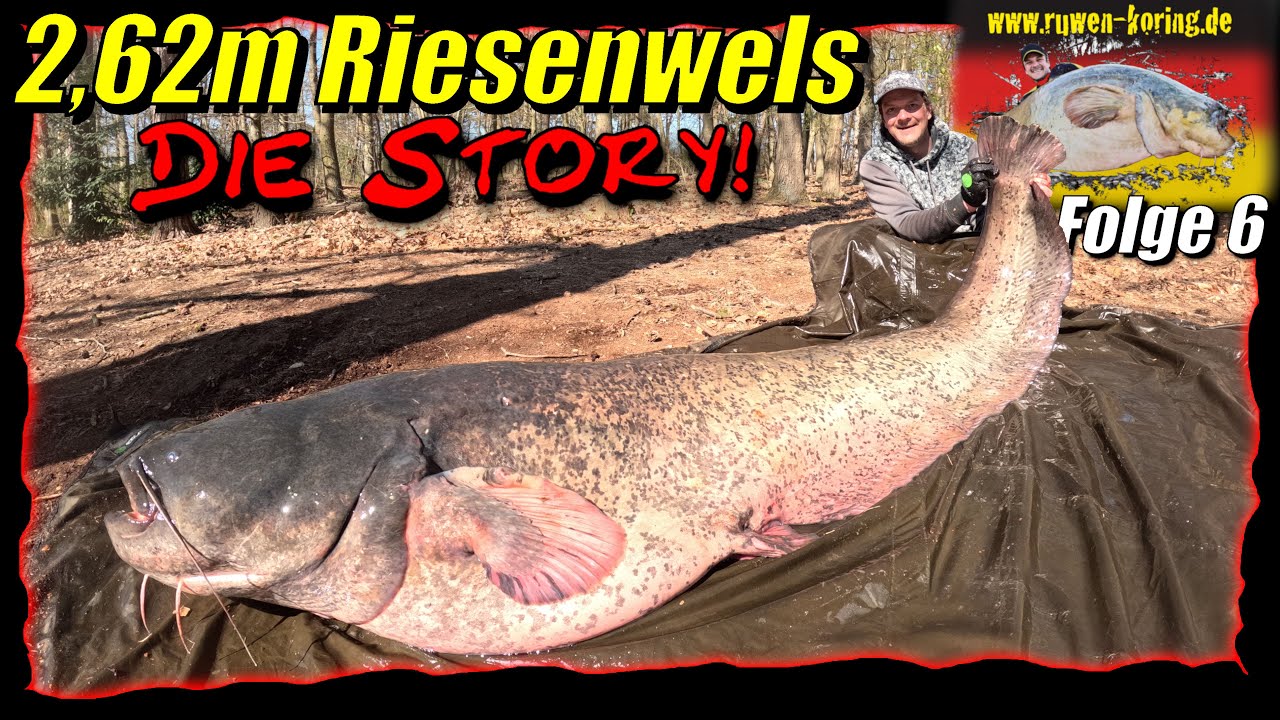 2,62m Riesenwels - Die Story! Wallerangeln in Deutschland #6