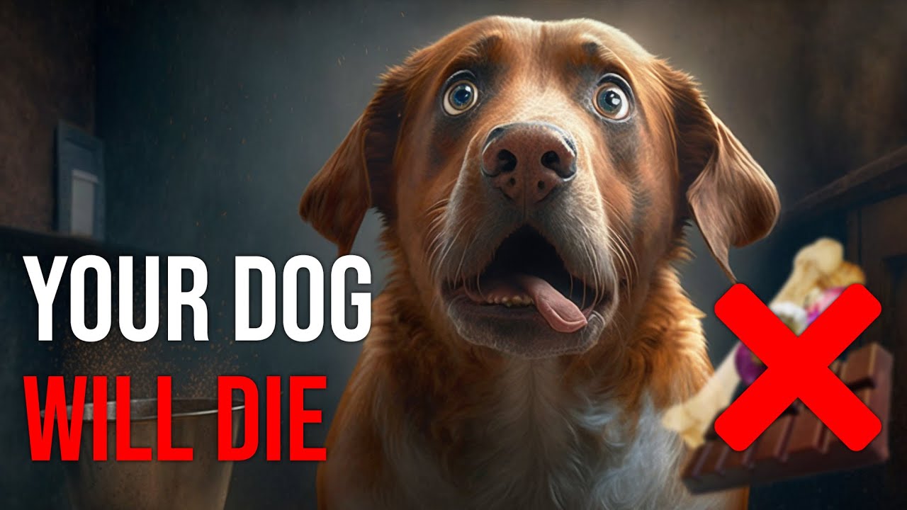 20 Foods That Will KILL Your Dog! Don't Feed This!