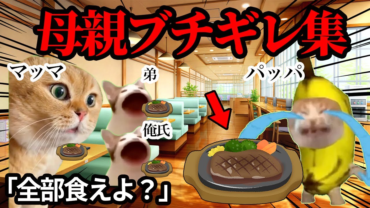 父親に母親がガチギレする瞬間まとめてみたwwww【総集編】#猫ミーム #猫マニ #あるある