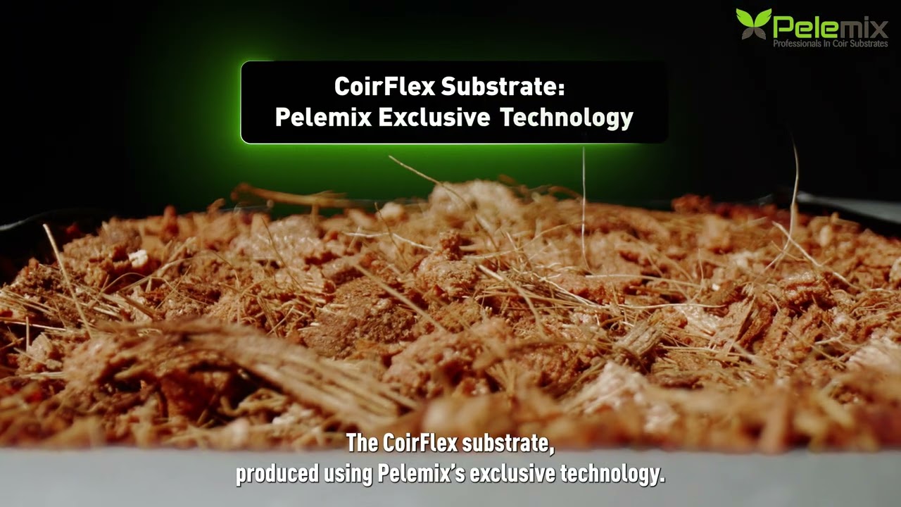 Boost your harvest by 15% with COIRFLEX by Pelemix: Discover the secret!