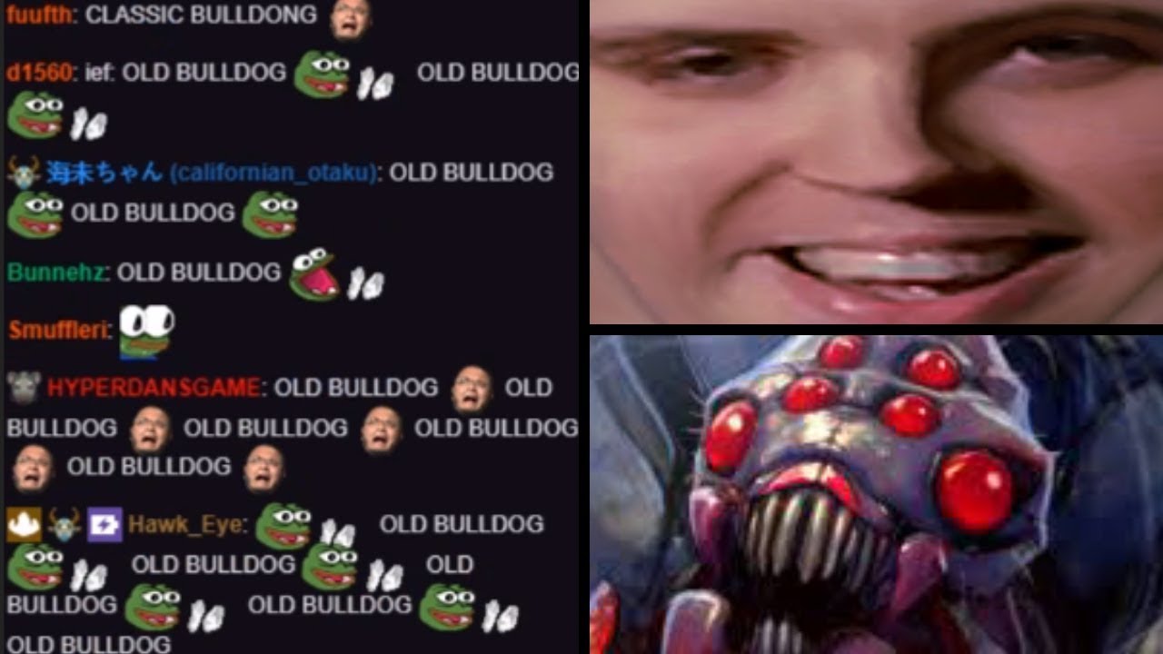 Bulldog Brood Is Back From The Dead