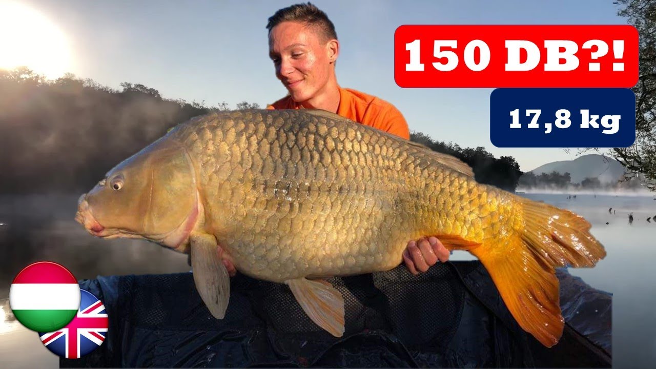 Az ÓRIÁSPONTYOK túrája🏕🎣🏆 ( The FishAIRMan Évadzáró 15. rész)