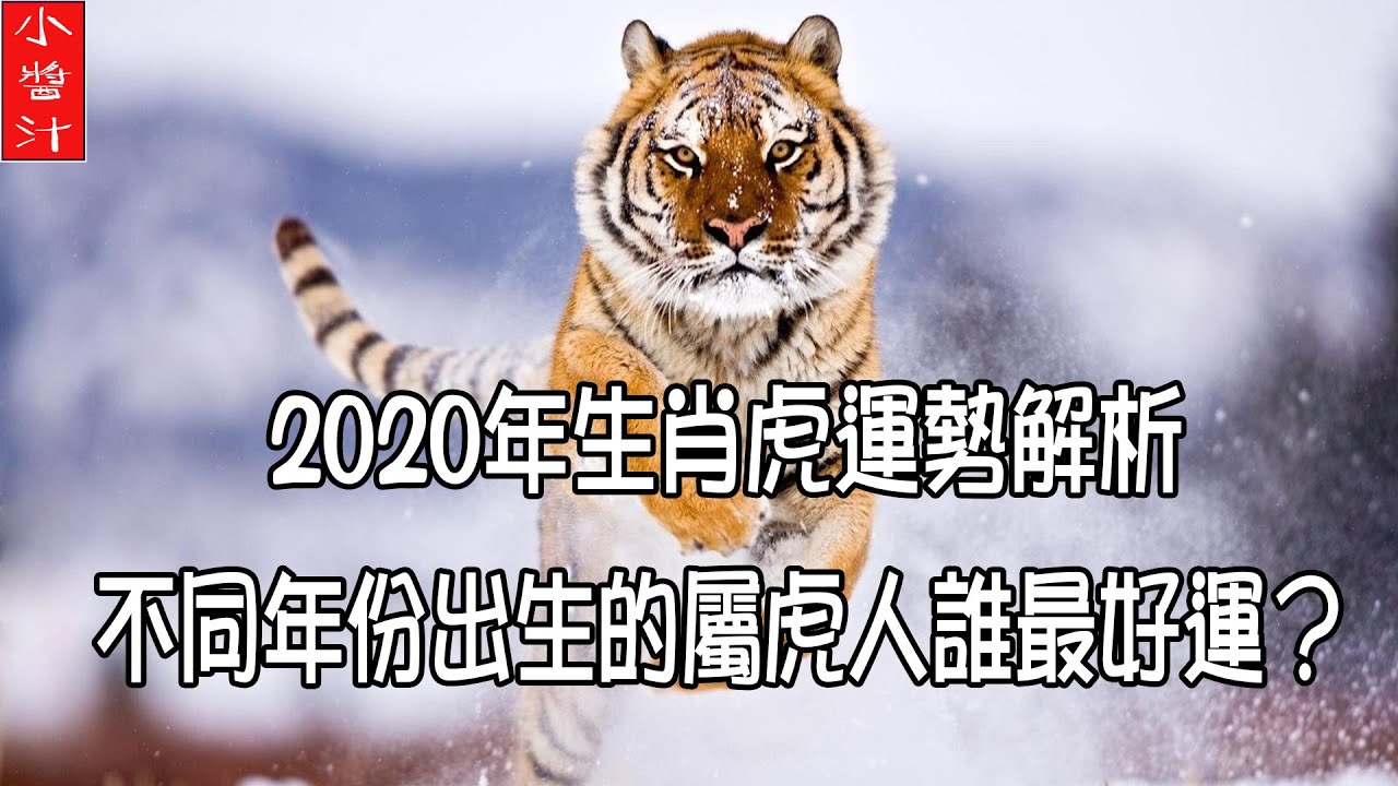 【生肖虎運勢】2020年生肖虎運勢詳解。不同年份出生的屬虎人誰最好運？