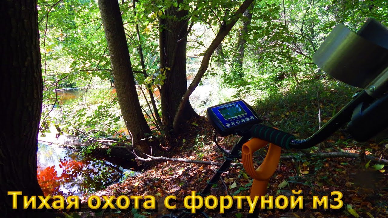Фортуна м3 pl в лесу