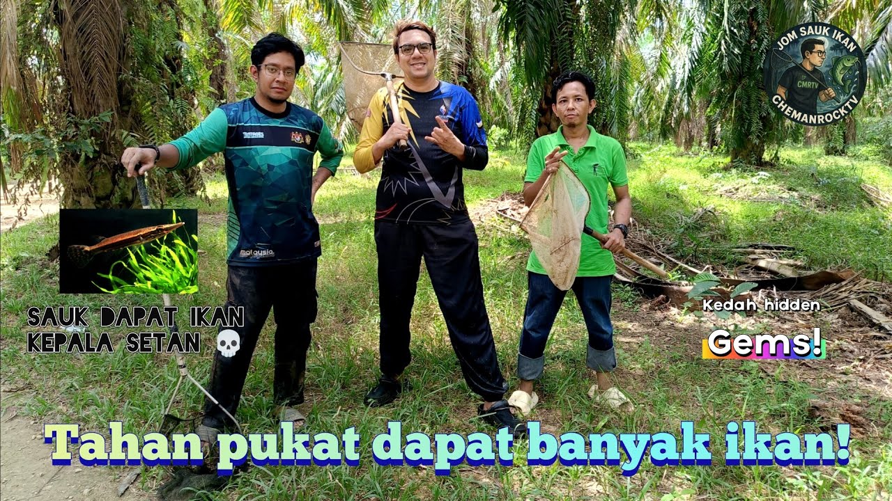 Jom Sauk Ikan EP. 75 Jelajah Sauk bersama #gengsaukkedah Part.2