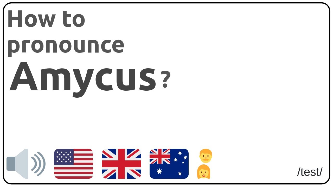 How to pronounce Amycus in english?