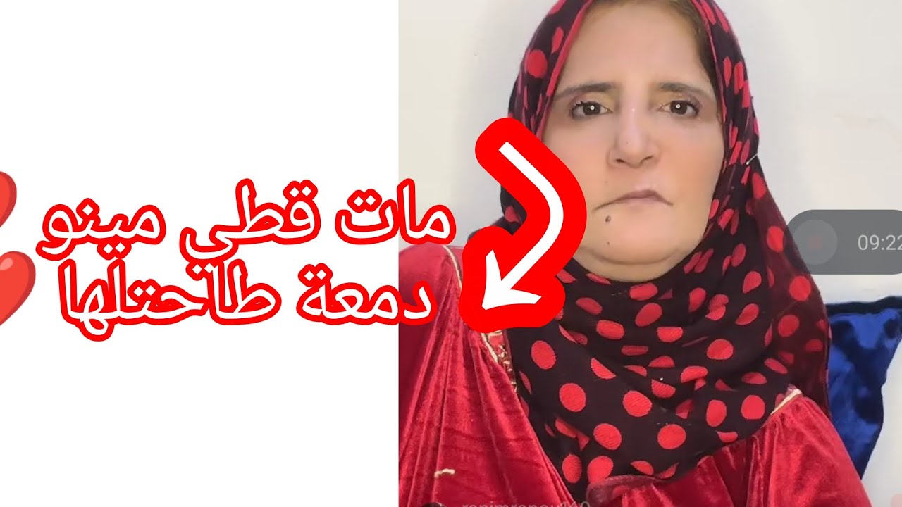 حسام لافوفو 💗 ام حسام قلتلكم قطي مات💔لايف تيك توك ✨