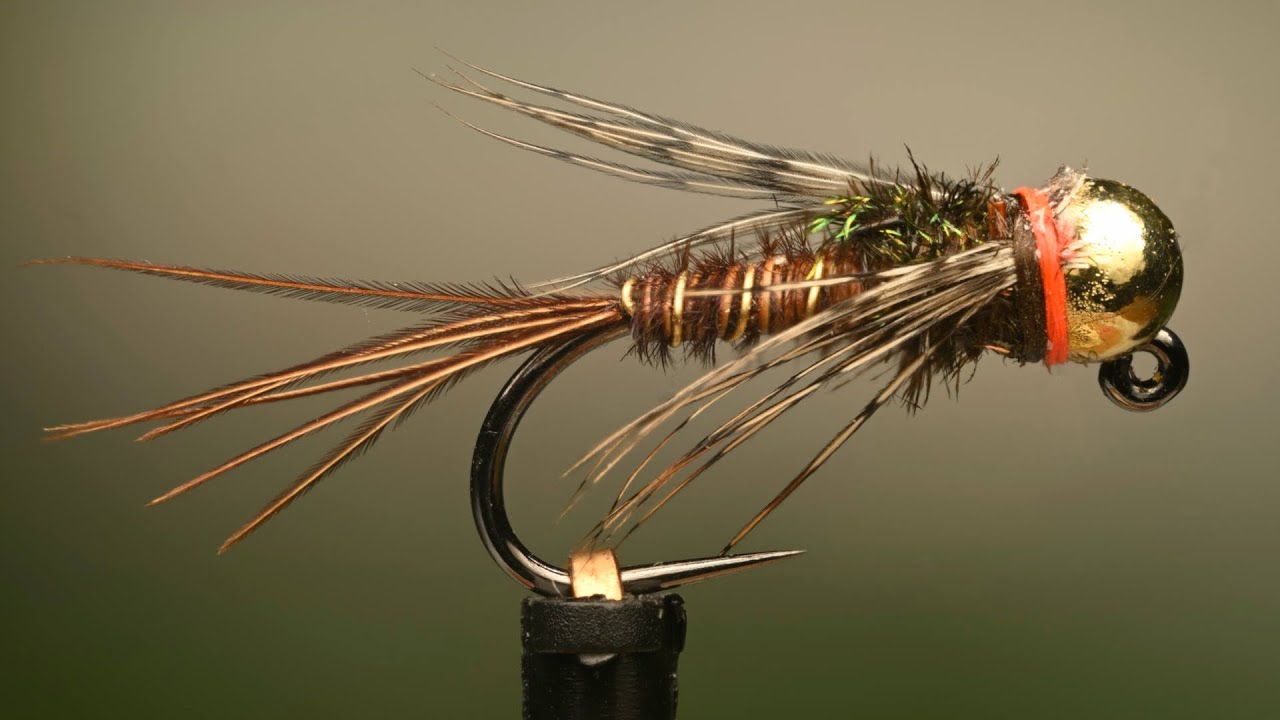 P & P nymph