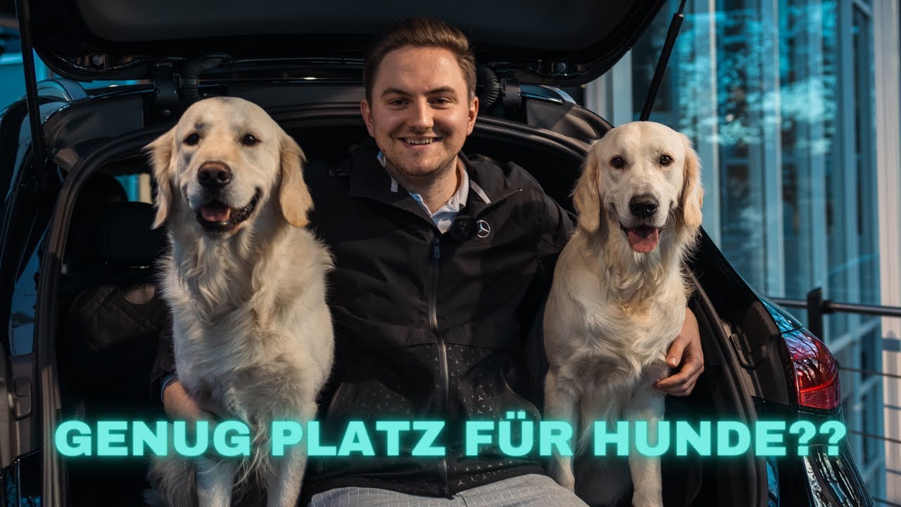 In welchem Mercedes-Benz fühlen sich eure Hunde wohl? Wir machen den Dog-Check! 🐶🐶