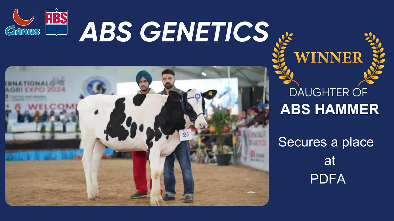 Legacy of Excellence: Hammer's Daughter Shines at PDFA Expo 2024 Breeding Competition in Ludhiana!