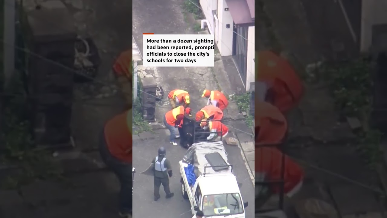 Japan bear captured after multi-day hunt closes schools