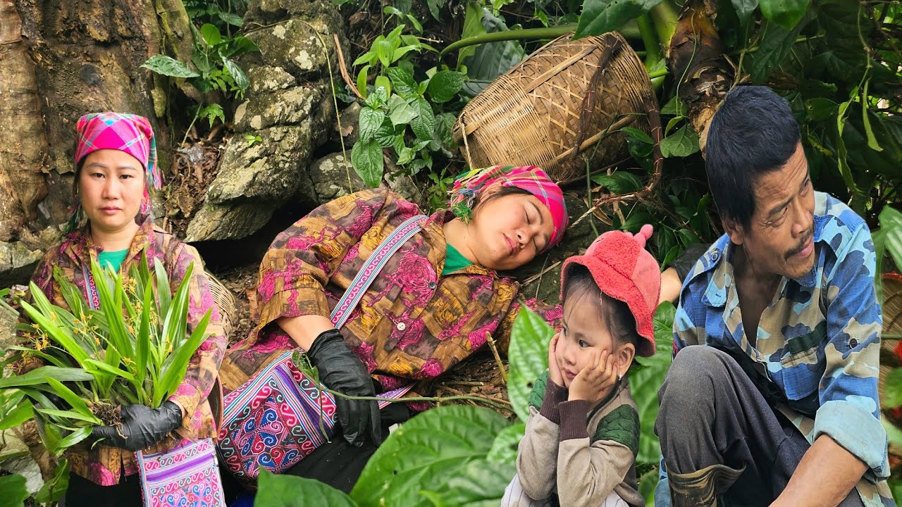 Phuc Ha Fainted In The Deep Forest After An Accident, But No One In Her Family Knew.