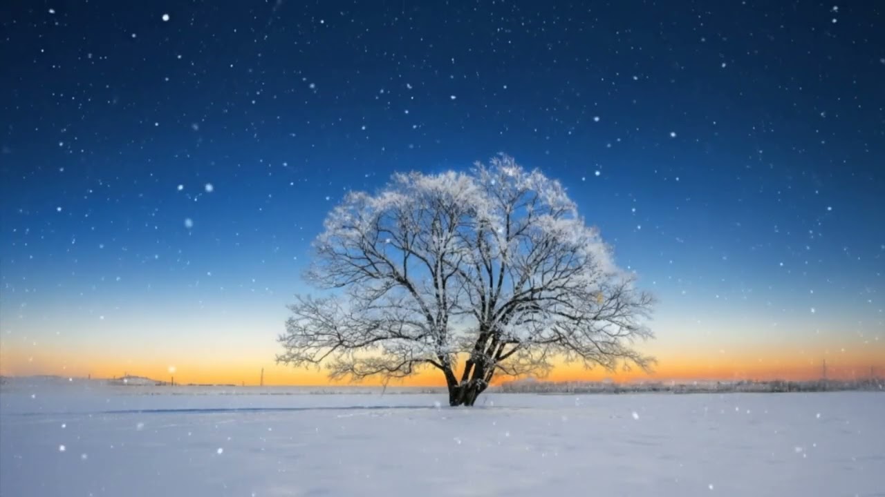 Relaxing BGM: The Celestial Dance