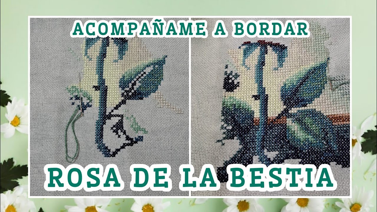 Flosstube 563: ACOMPAÑAME A BORDAR | ROSA DE LA BELLA Y LA BESTIA -HEYBRUJILLIZA