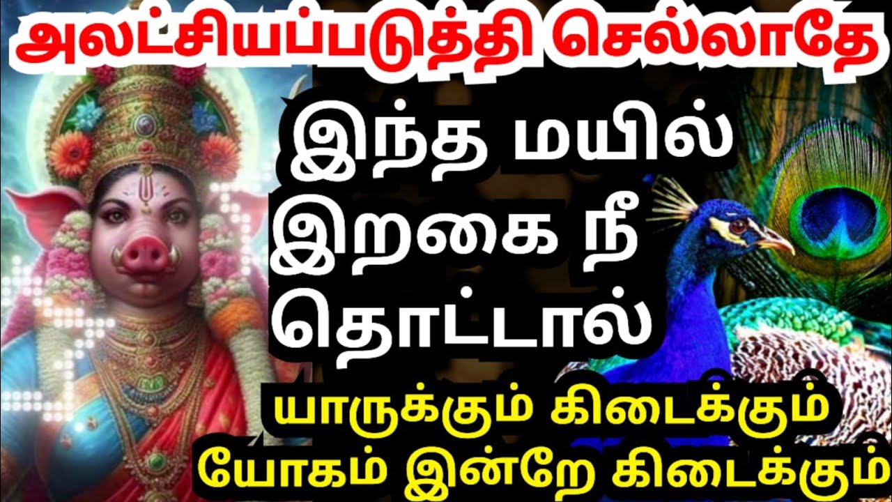 💥யாருக்கும் கிடைக்காத அதிர்ஷ்டம் உனக்கு கிடைக்கும்#amman#varaahiamman#varahiarulvakku#omsaravanabava