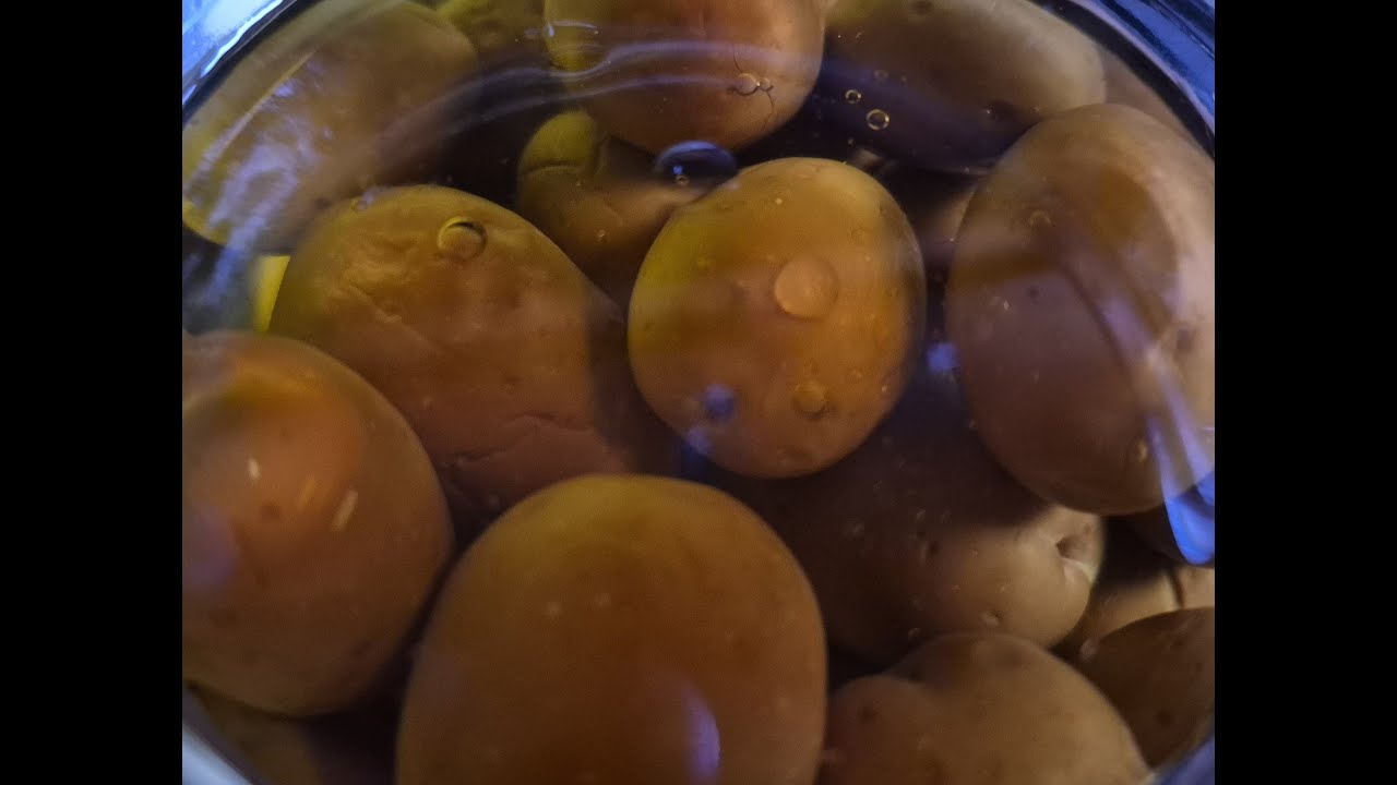 FROM FRESH TO FERMENTED OLIVES PART 2